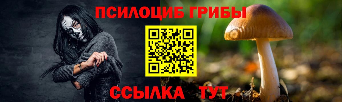 Сегежа  Галлюциногенные грибы ЛСД  Галлюциногенные грибы Psilocybine cubensis  Вход с VPN 